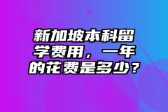 新加坡本科留学费用，一年的花费是多少？