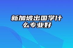 新加坡出国学什么专业好