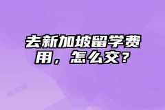 去新加坡留学费用，怎么交？