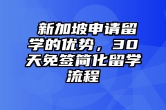 ​新加坡申请留学的优势，30天免签简化留学流程