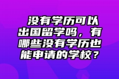 ​没有学历可以出国留学吗，有哪些没有学历也能申请的学校？