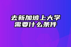 去新加坡上大学需要什么条件