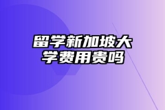 留学新加坡大学费用贵吗