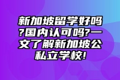 新加坡留学好吗，国内认可吗？